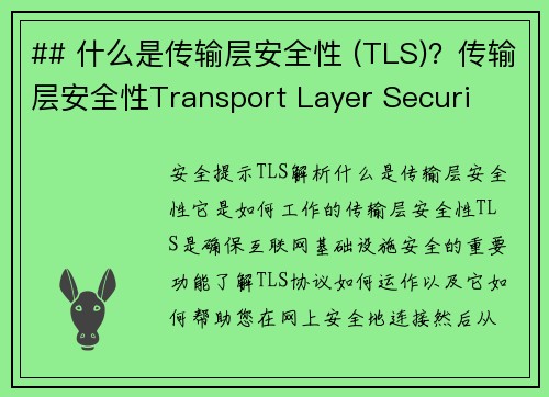 ## 什么是传输层安全性 (TLS)？传输层安全性Transport Layer Securi